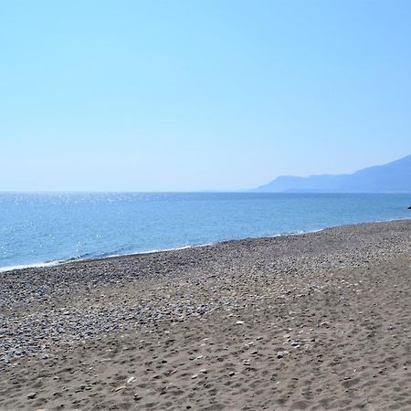 Agriturismo Terre di Mare Bordighera Vallecrosia Esterno foto