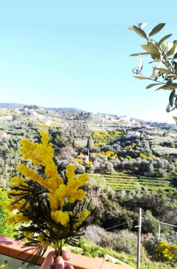 Agriturismo Terre di Mare Bordighera Vallecrosia Esterno foto
