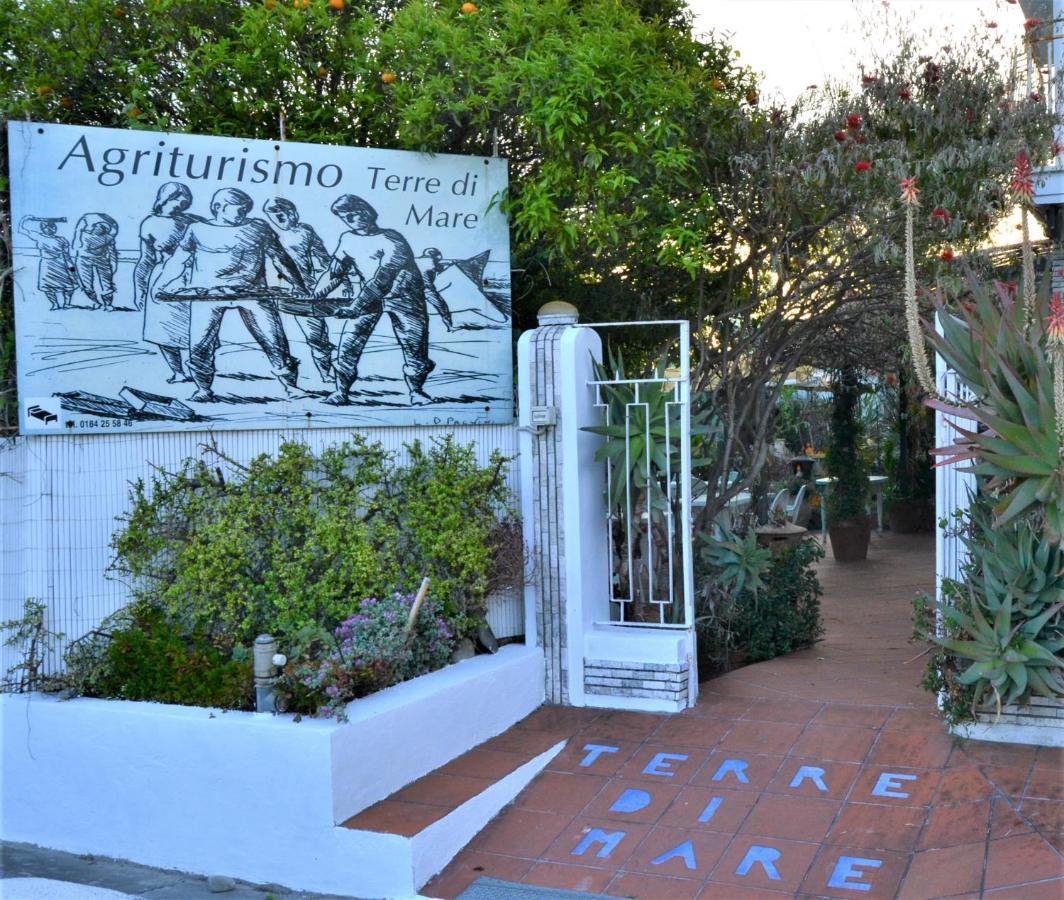 Agriturismo Terre di Mare Bordighera Vallecrosia Esterno foto