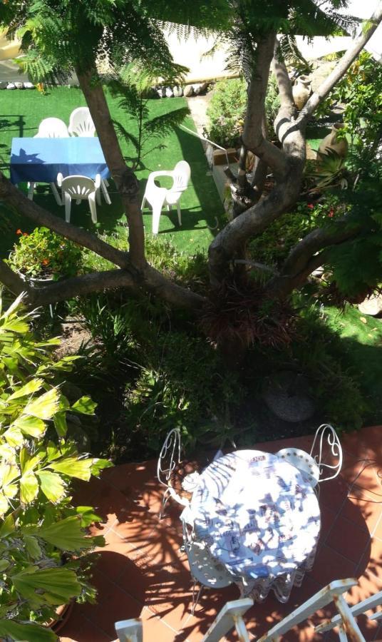 Agriturismo Terre di Mare Bordighera Vallecrosia Esterno foto
