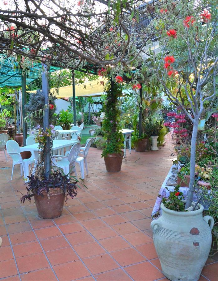 Agriturismo Terre di Mare Bordighera Vallecrosia Esterno foto