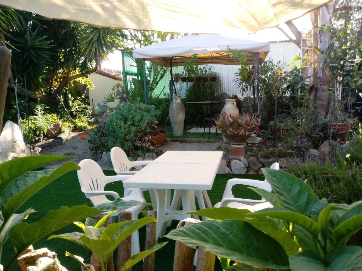 Agriturismo Terre di Mare Bordighera Vallecrosia Esterno foto