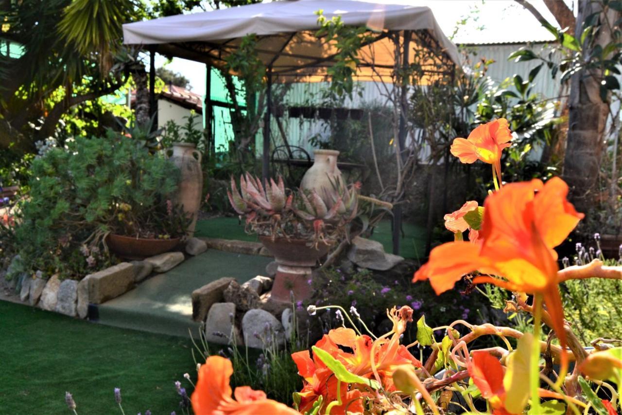 Agriturismo Terre di Mare Bordighera Vallecrosia Esterno foto