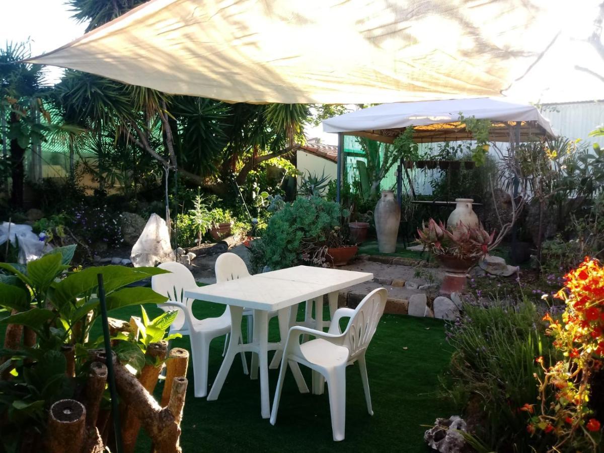 Agriturismo Terre di Mare Bordighera Vallecrosia Esterno foto