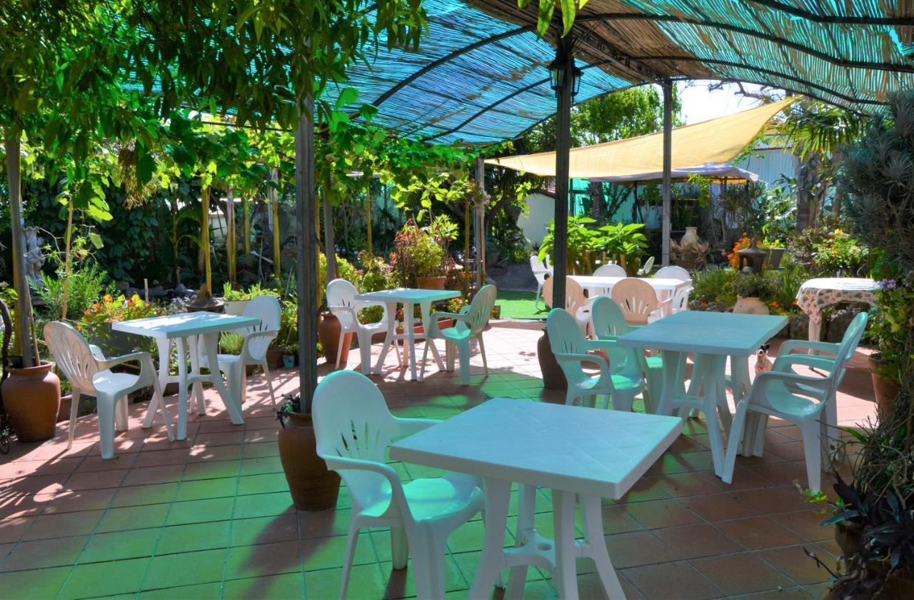 Agriturismo Terre di Mare Bordighera Vallecrosia Esterno foto